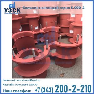 Сальники нажимные серия 5.900-3 в Петрозаводске